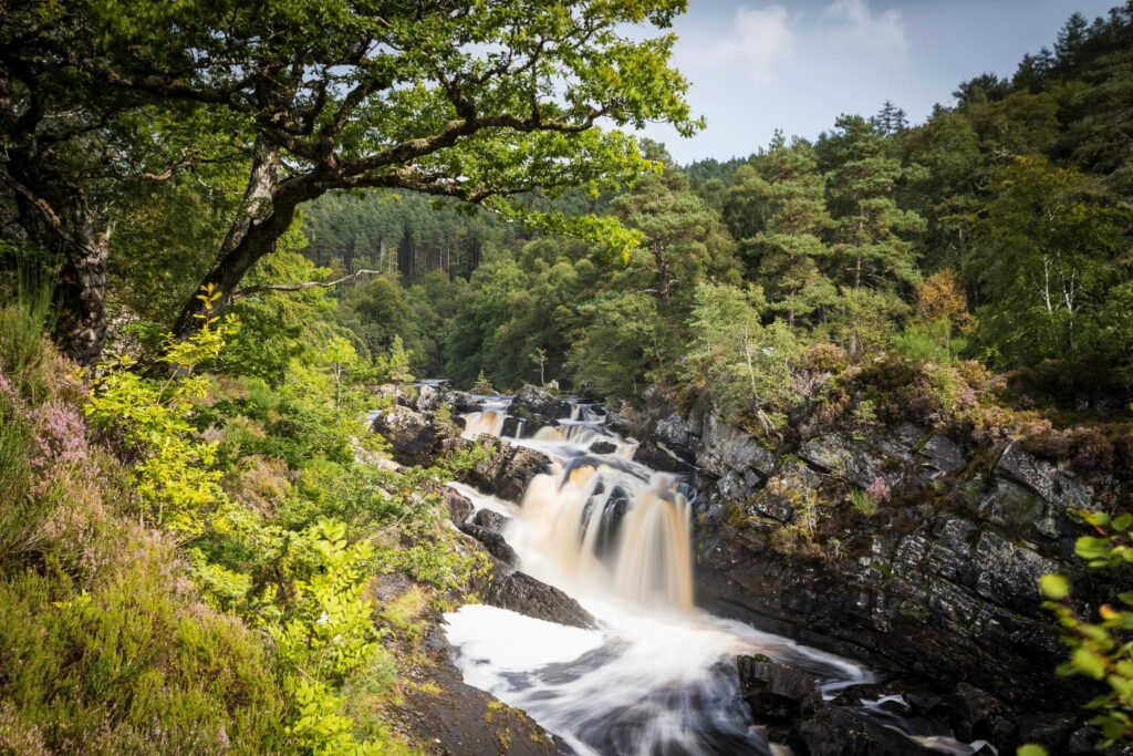 ロガリー フォールズ
Copyright: VisitScotland / Kenny Lam